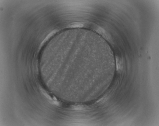 X0000076450300200610271831