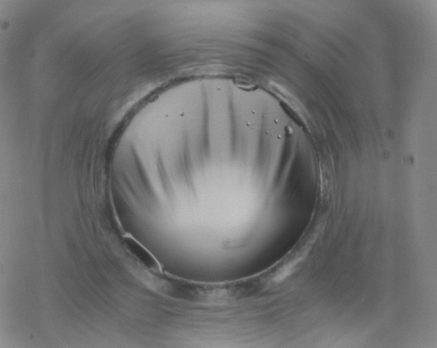 X0000076450301200610271831