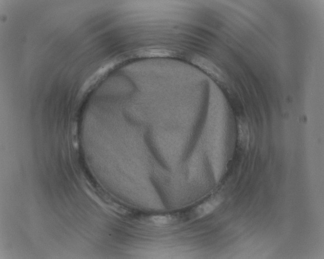 X0000076450302200610271831