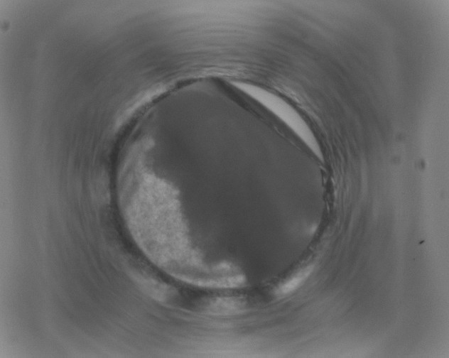 X0000076450303200610271831