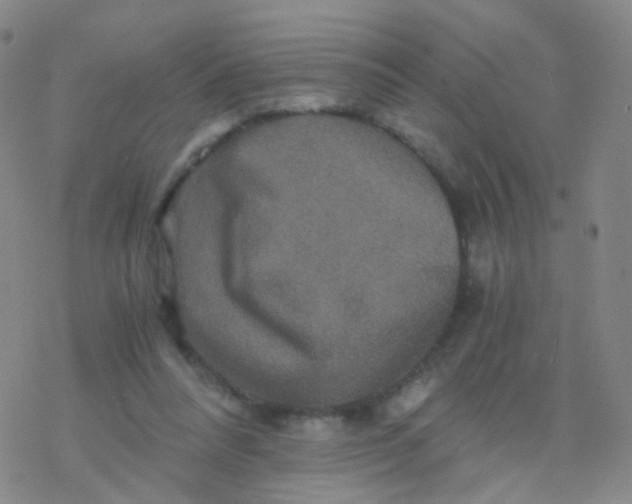 X0000076450304200610271831