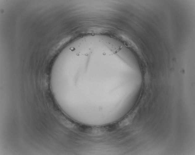 X0000076450305200610271831