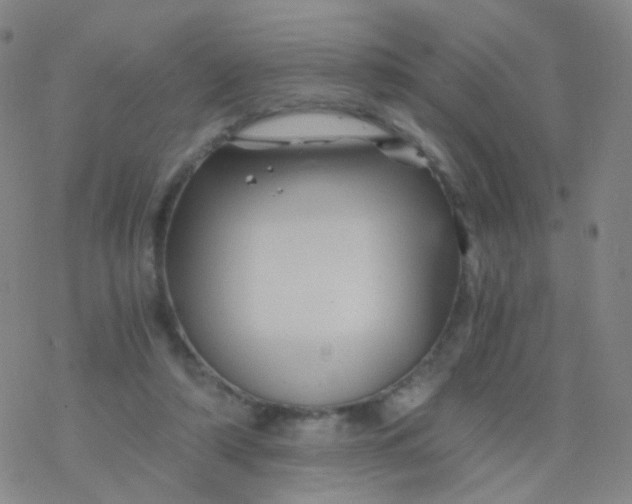 X0000076450306200610271831