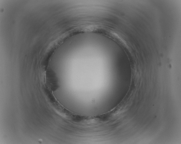 X0000076450307200610271831