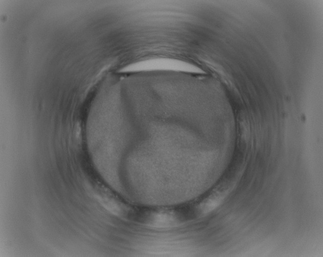 X0000076450308200610271831