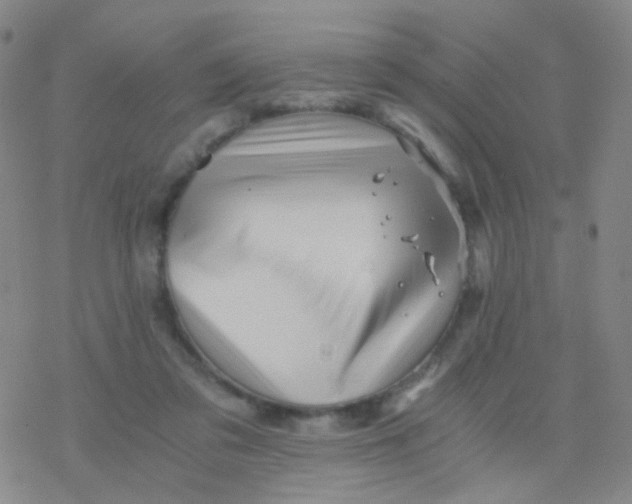 X0000076450309200610271831