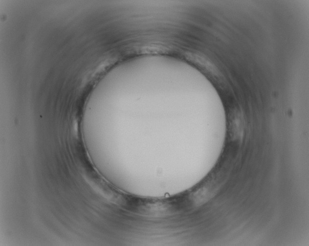 X0000076450310200610271831