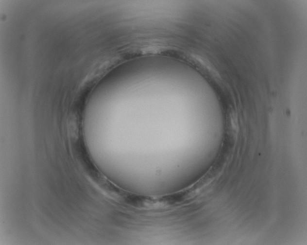 X0000076450311200610271831