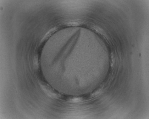 X0000076450312200610271831