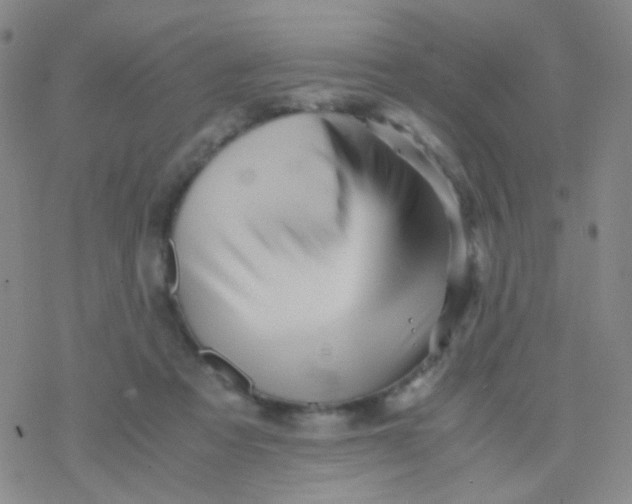 X0000076450313200610271831