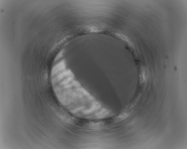 X0000076450314200610271830