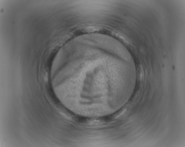 X0000076450315200610271830