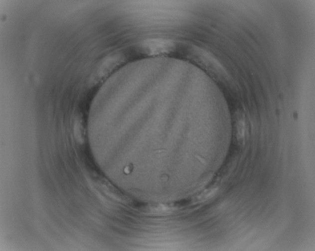 X0000076450316200610271830