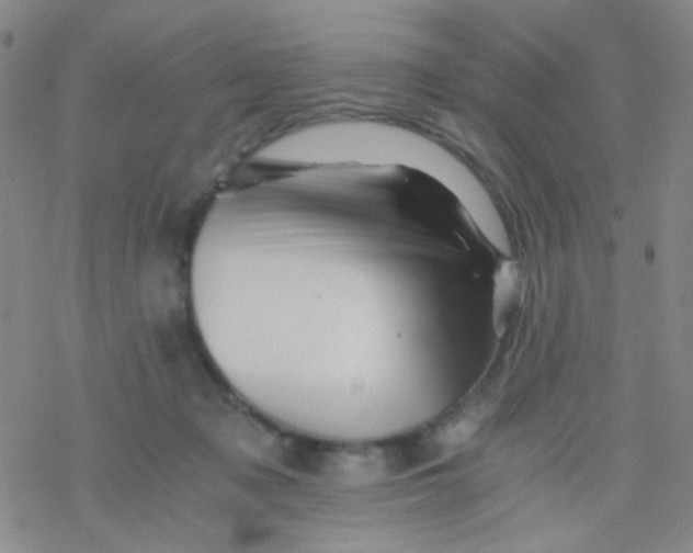 X0000076450317200610271830