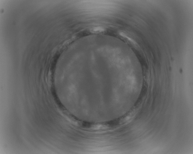 X0000076450319200610271830