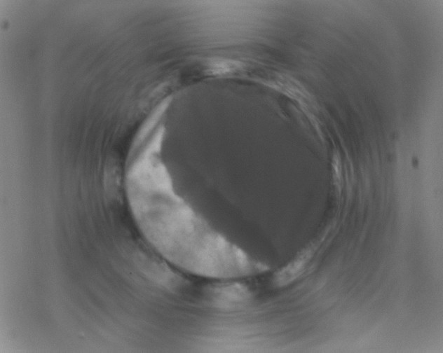 X0000076450322200610271830