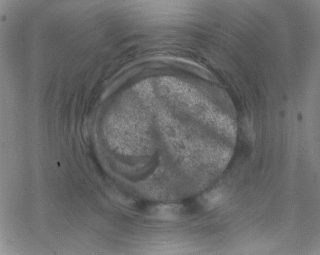 X0000076450323200610271830