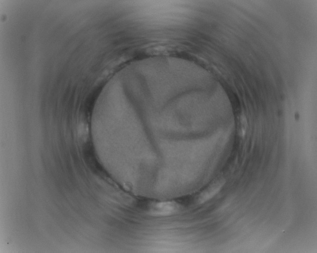 X0000076450324200610271830