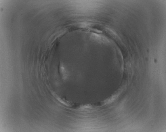 X0000076450325200610271830