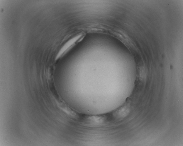 X0000076450326200610271830