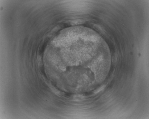 X0000076450327200610271830