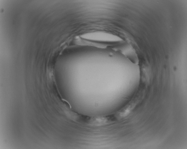 X0000076450329200610271830