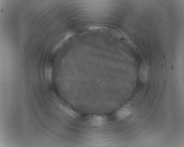 X0000076450330200610271830