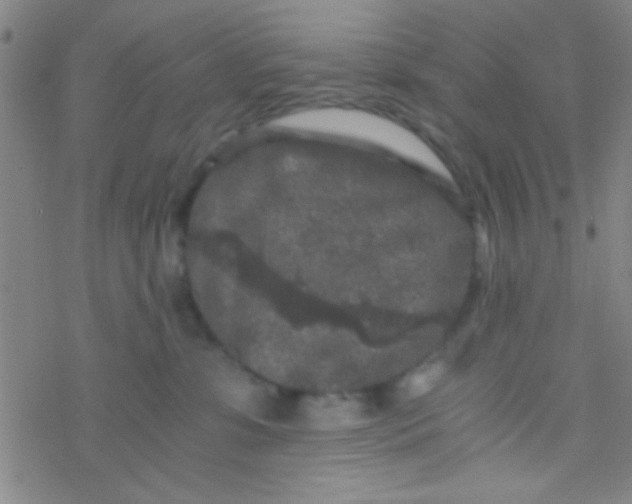 X0000076450331200610271830