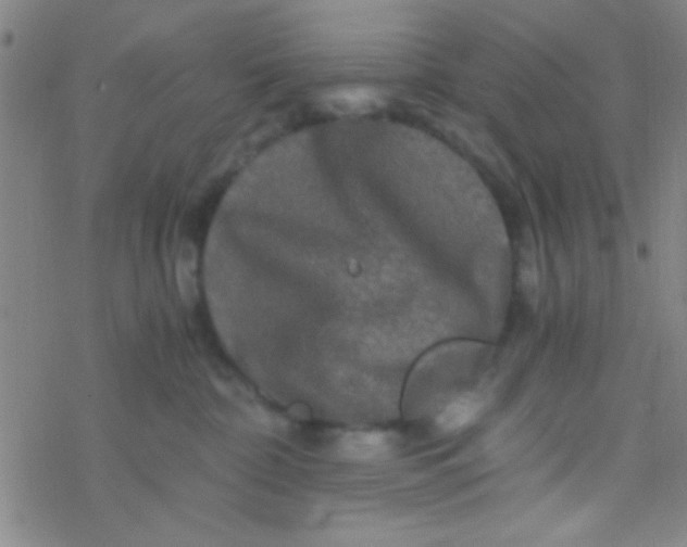 X0000076450332200610271830