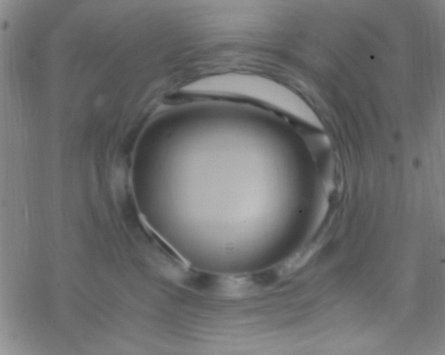 X0000076450333200610271830