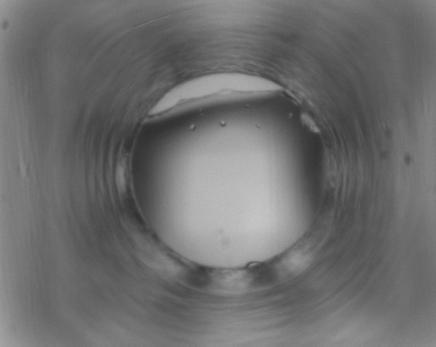 X0000076450334200610271830