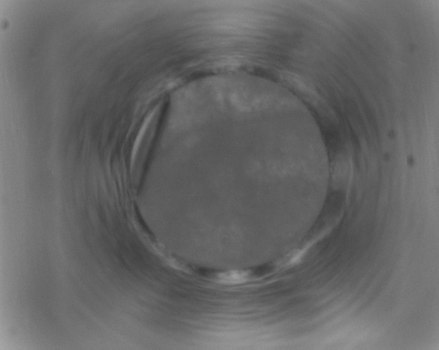 X0000076450335200610271830