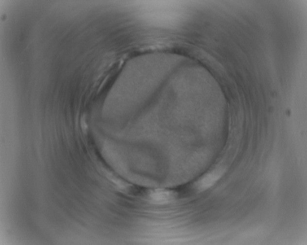 X0000076450336200610271830