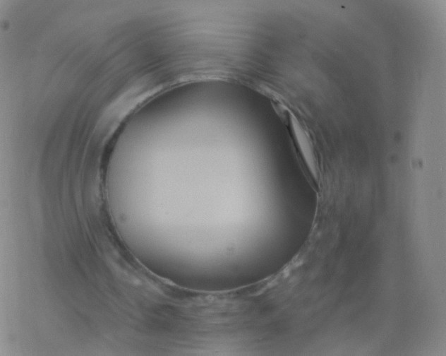 X0000076450338200610271829