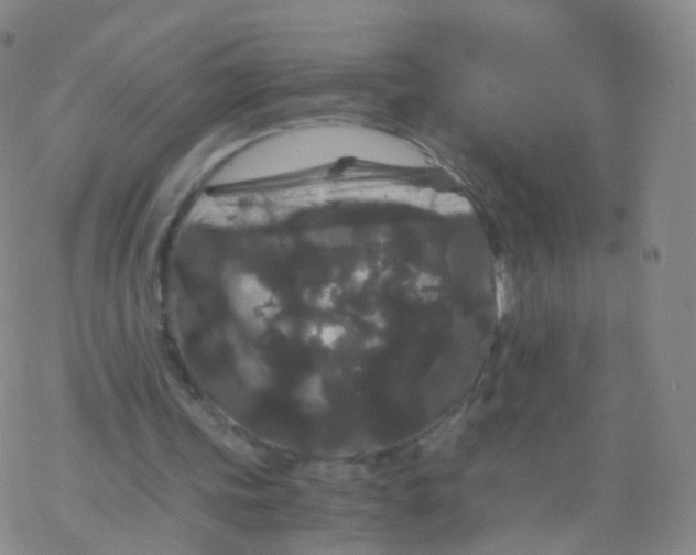 X0000076450339200610271829