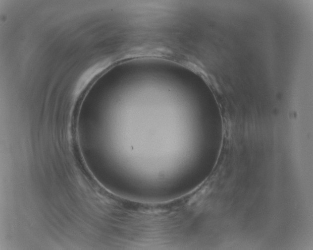 X0000076450340200610271829