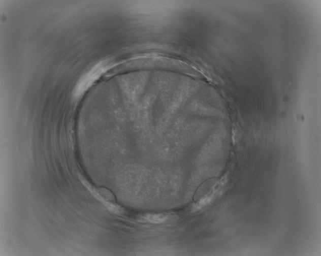 X0000076450341200610271829