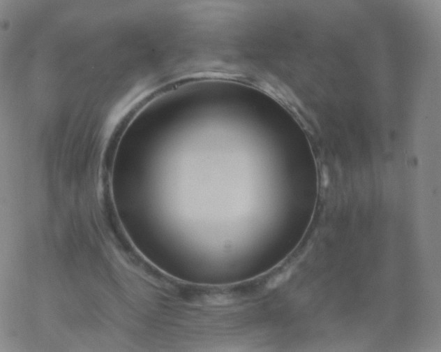 X0000076450344200610271829