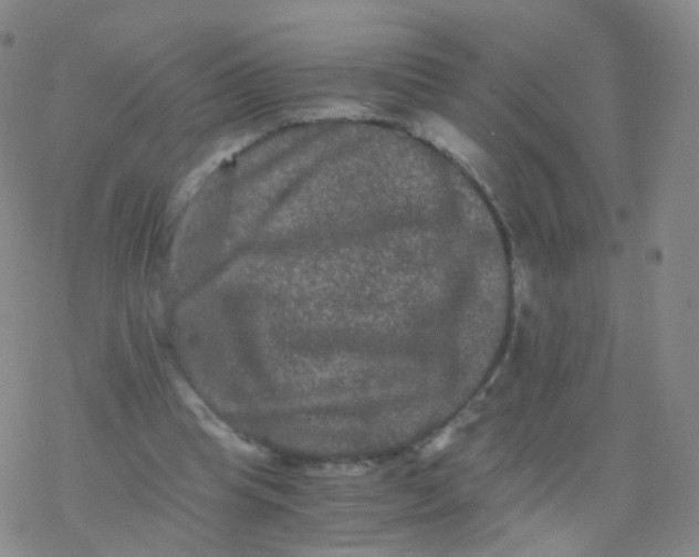 X0000076450345200610271829