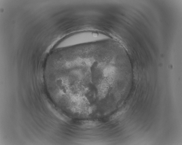 X0000076450347200610271830