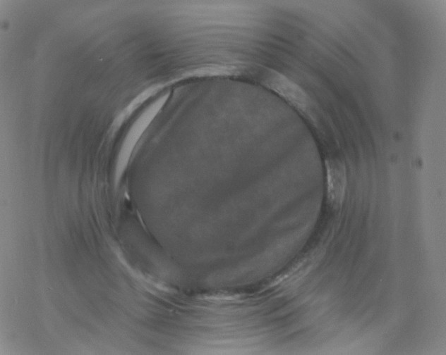 X0000076450348200610271830