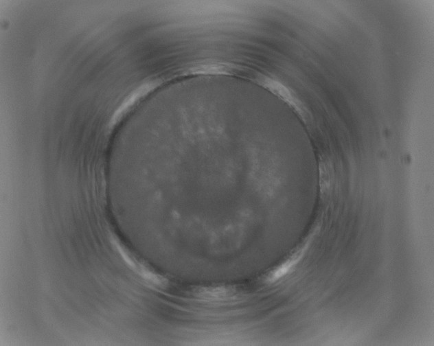 X0000076450349200610271830