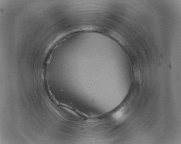 X0000076450350200610271830