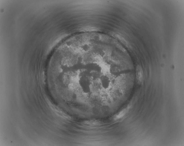 X0000076450351200610271830