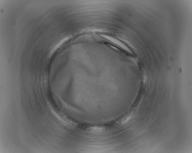 X0000076450352200610271830