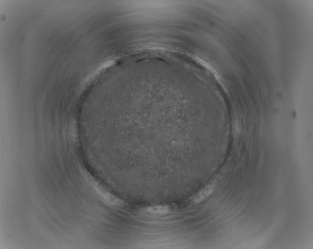 X0000076450353200610271830