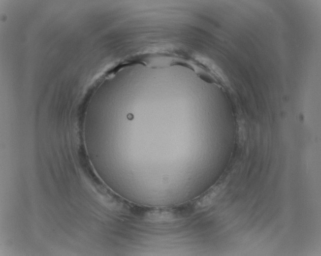 X0000076450354200610271830