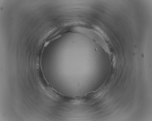 X0000076450356200610271830