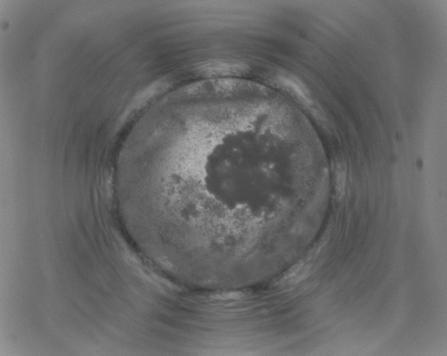 X0000076450357200610271830