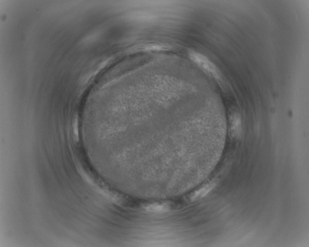 X0000076450358200610271830